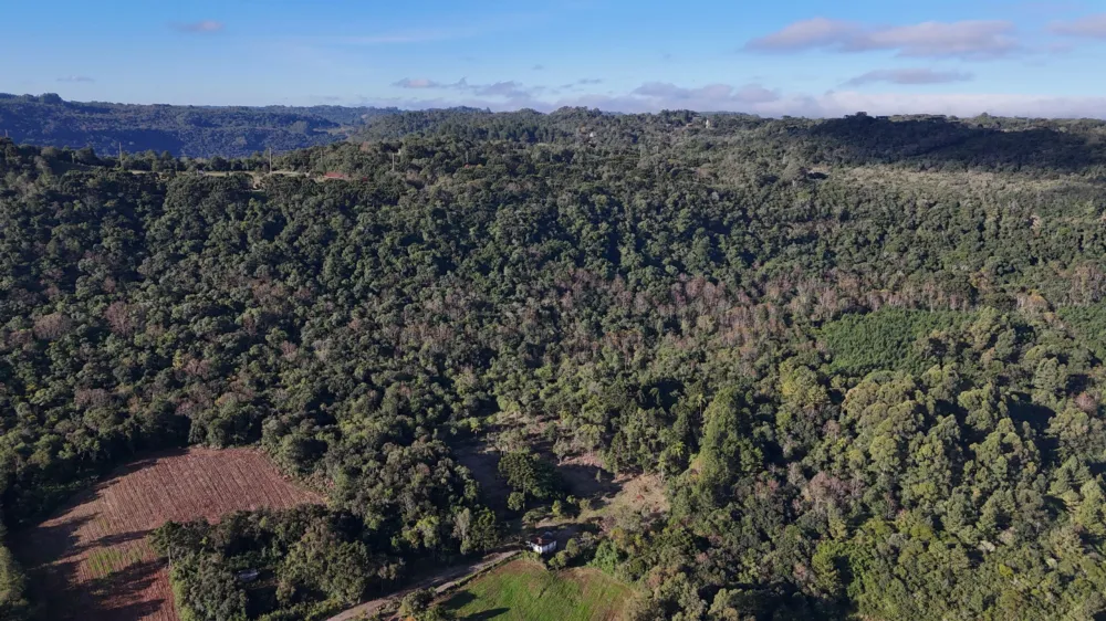 Lote para venda no bairro Campestre do Tigre em Gramado