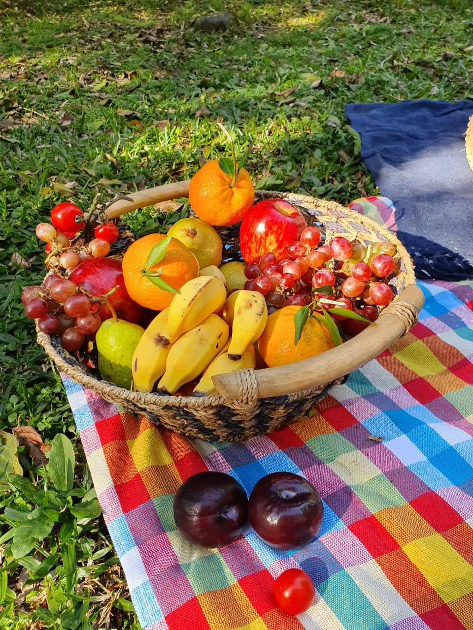 Lote para venda no bairro Portico em Gramado