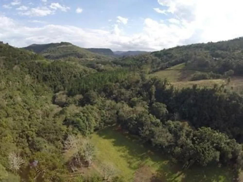 Chácara para venda no bairro Linha Forqueta em Gramado