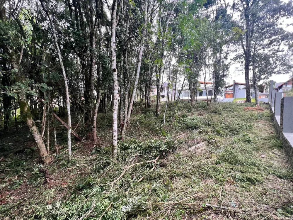 Lote para venda no bairro Carniel em Gramado