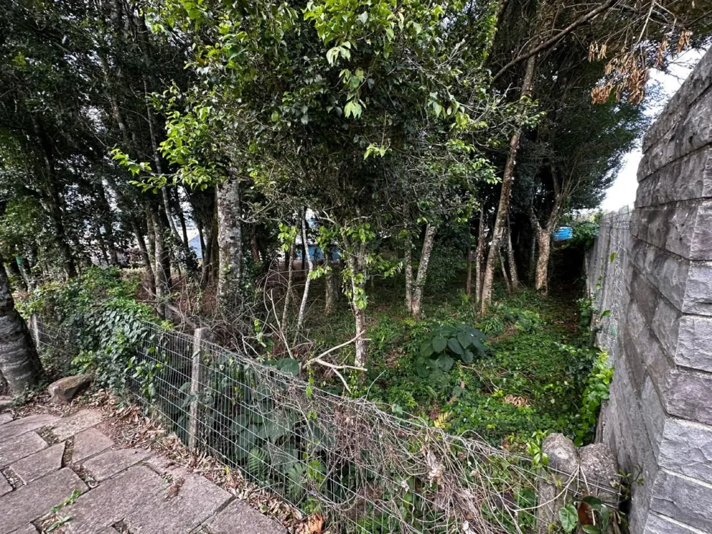 Terreno Padrão para venda no bairro Belvedere em Gramado