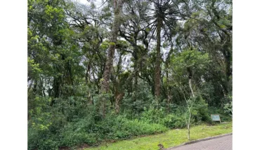 Imóvel em Parque Pinheiro Grosso