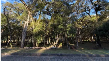 Imóvel em Centro 