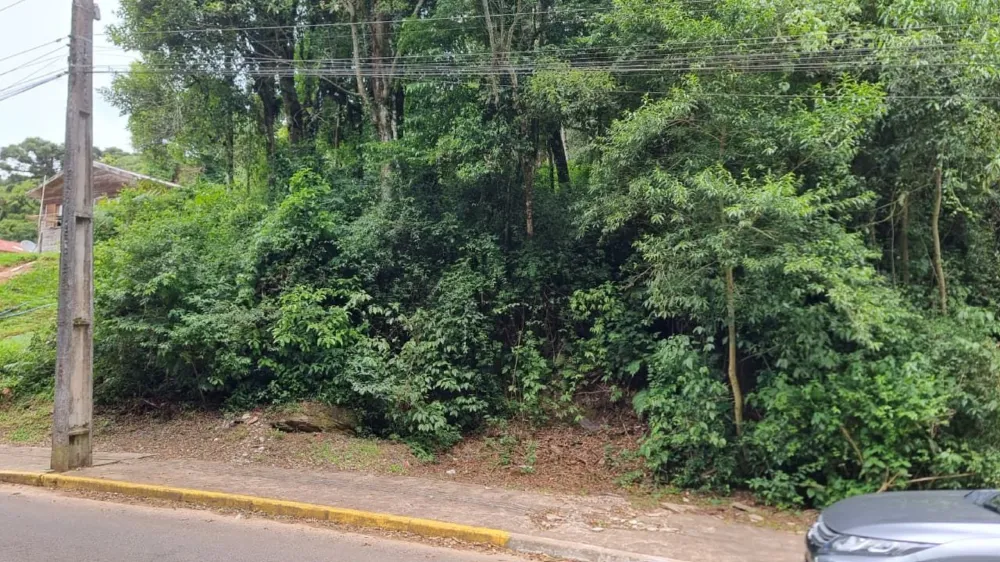 Terreno Padrão para venda no bairro Moura em Gramado