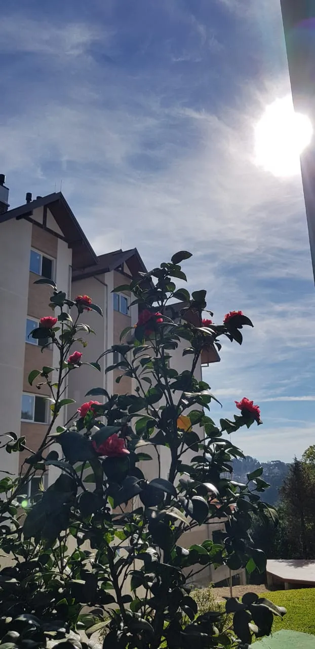 Apartamento para venda no bairro Centro em Gramado