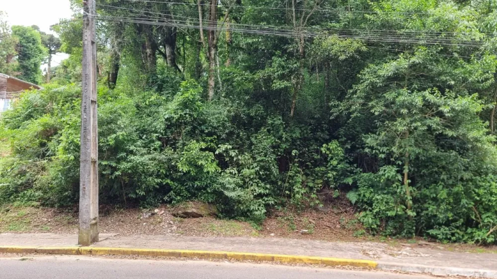 Terreno Padrão para venda no bairro Moura em Gramado
