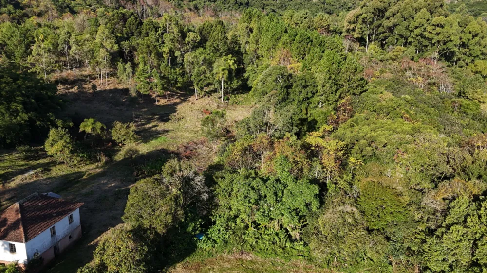 Lote para venda no bairro Campestre do Tigre em Gramado