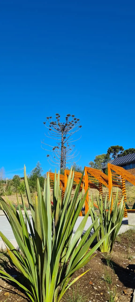 Lote para venda no bairro Portico em Gramado