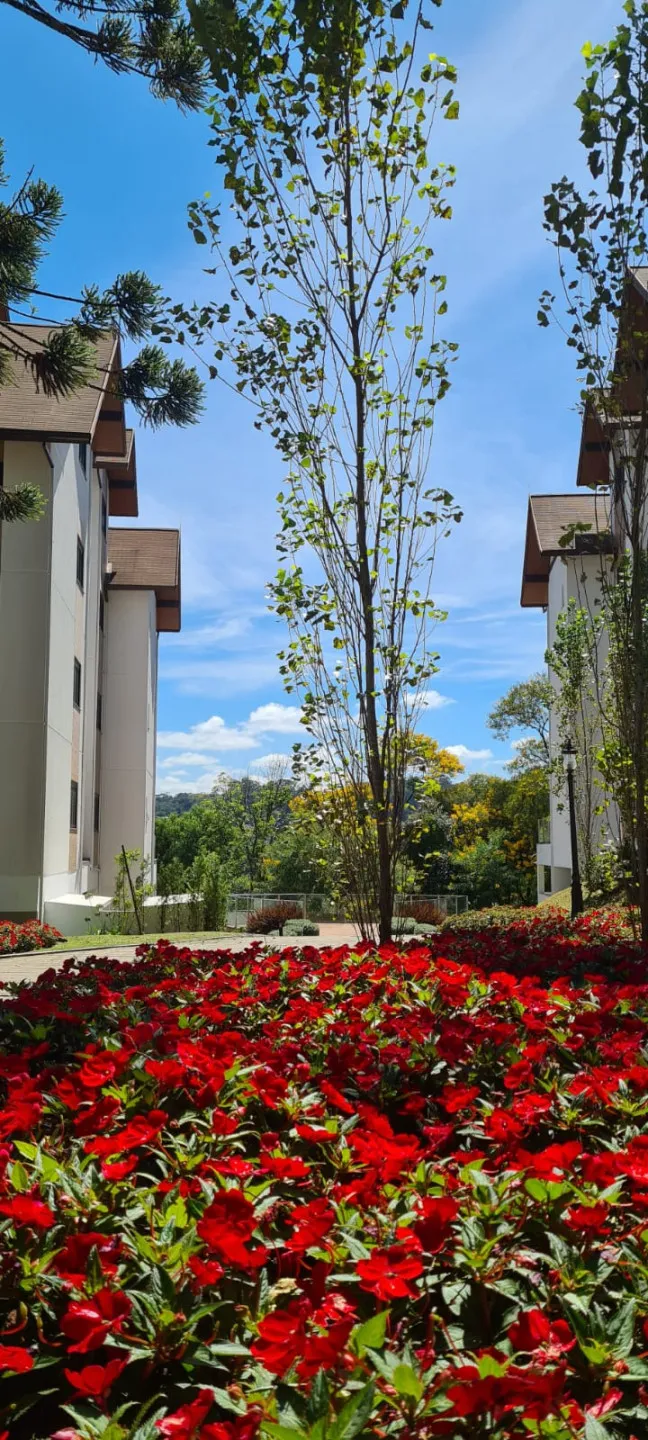 Apartamento para venda no bairro Centro em Gramado