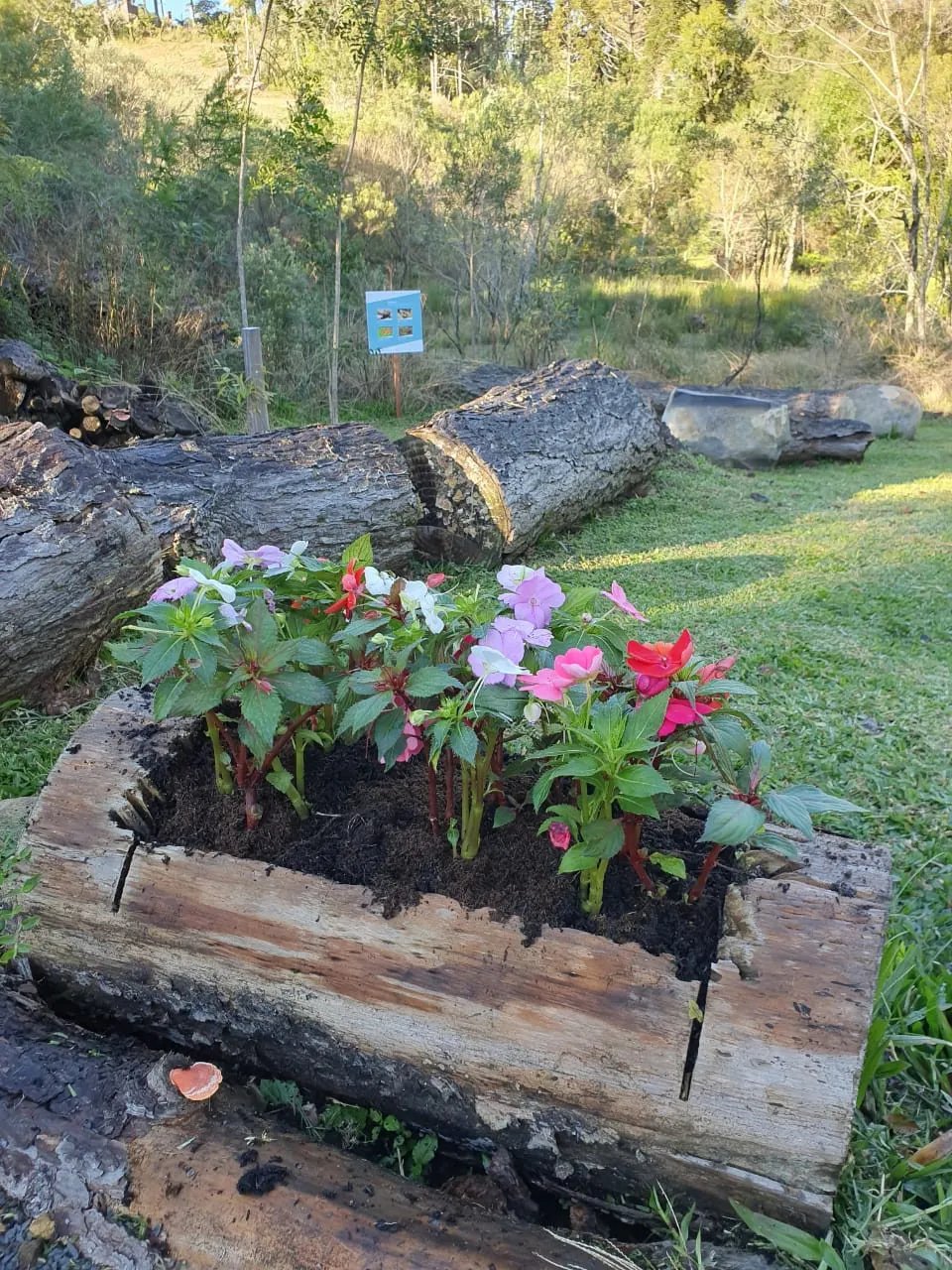 Lote para venda no bairro Portico em Gramado