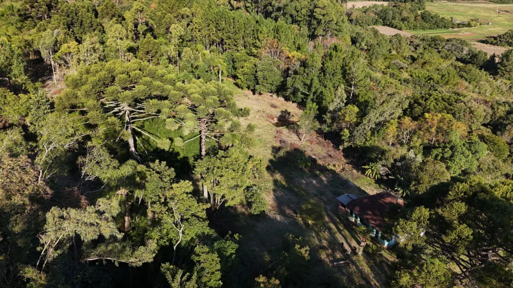 Lote para venda no bairro Campestre do Tigre em Gramado