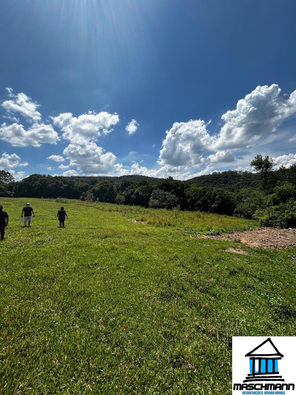 Terreno de 4,63 ha à venda em Farroupilha/RS – Serra Gaúcha, a 180 m da RSC‑453 (Rota do Sol)