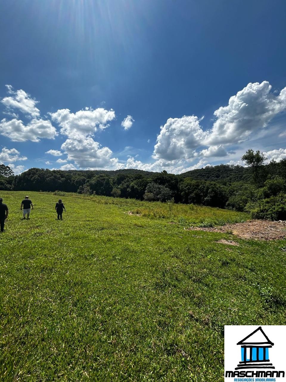 Terreno de 4,63 ha à venda em Farroupilha/RS – Serra Gaúcha, a 180 m da RSC‑453 (Rota do Sol)